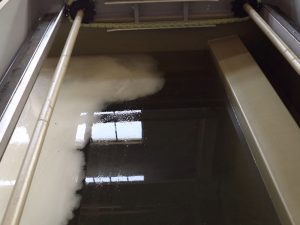 Process of bubbles attach to particles in dissolved air flotation